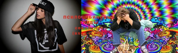 2c-b Верхний Тагил