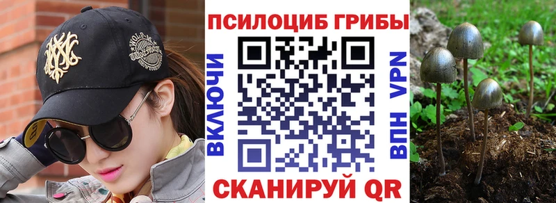 Псилоцибиновые грибы Magic Shrooms Кемь